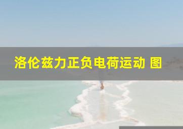 洛伦兹力正负电荷运动 图